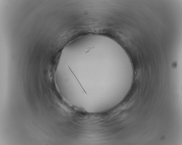 X0000089871202200707262142