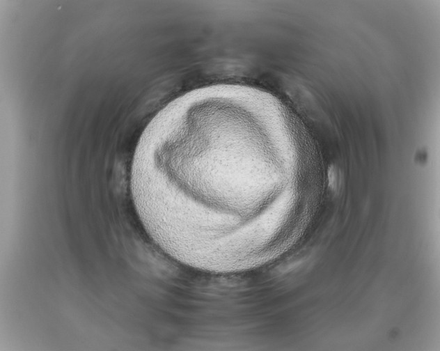 X0000089871203200707262142