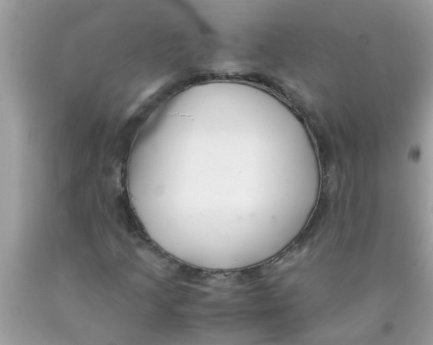 X0000089871205200707262142