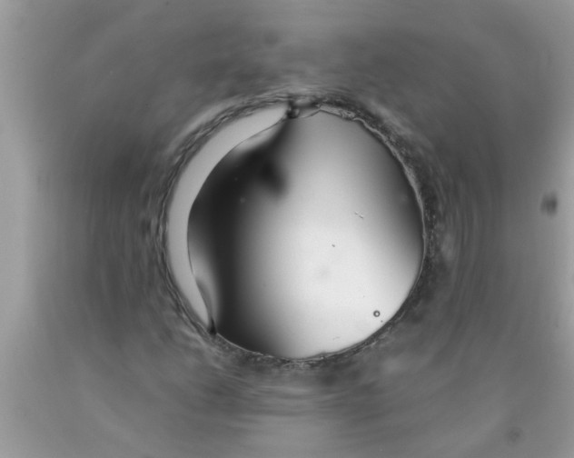 X0000089871206200707262142