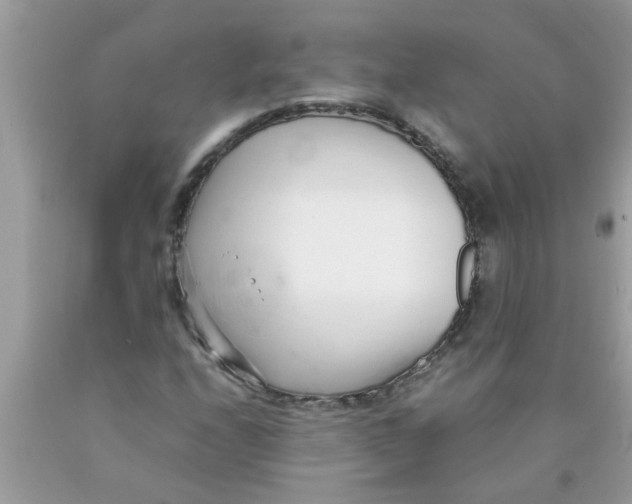 X0000089871208200707262142