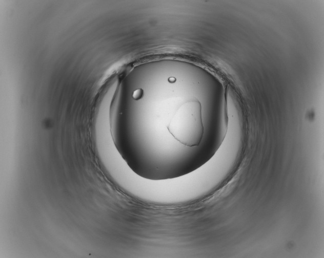 X0000089871210200707262142