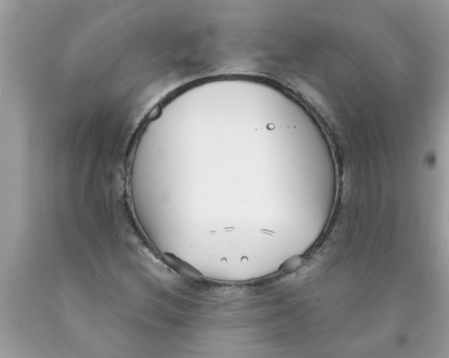 X0000089871212200707262142