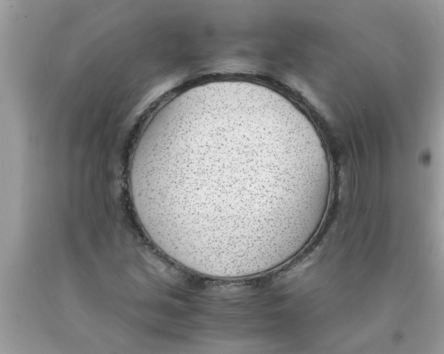 X0000089871213200707262142