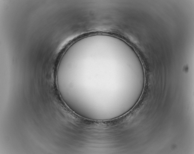 X0000089871214200707262142