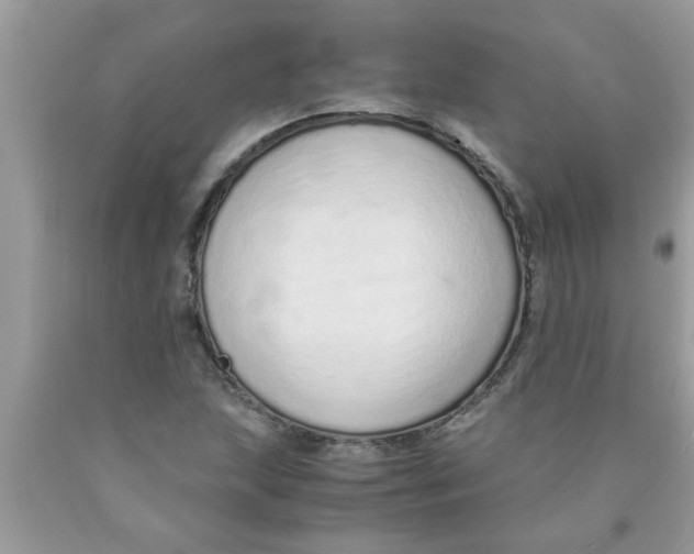 X0000089871215200707262142