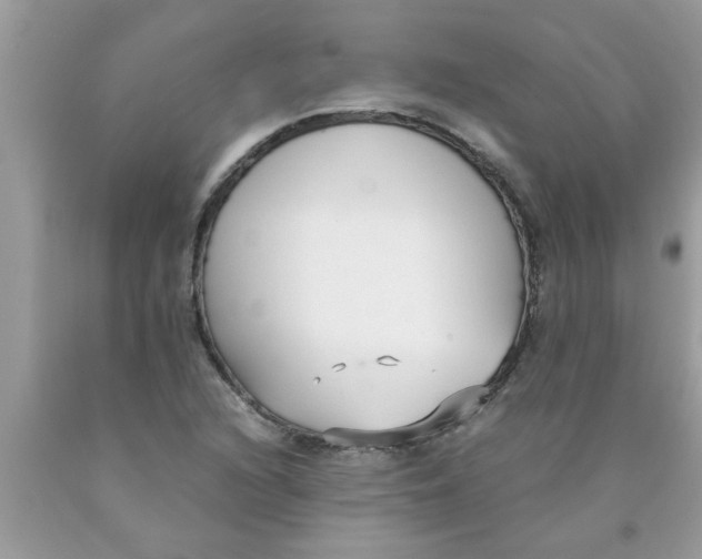 X0000089871216200707262142