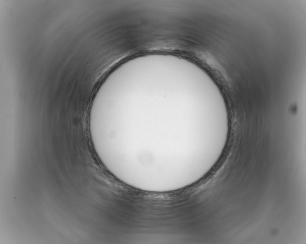 X0000089871217200707262142