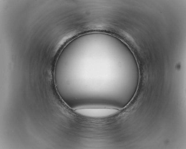 X0000089871218200707262142