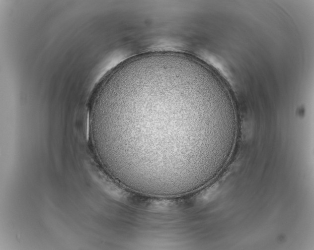 X0000089871219200707262142