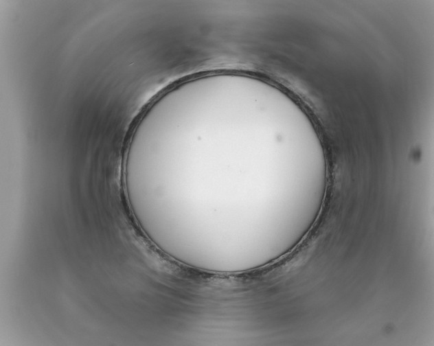 X0000089871220200707262142