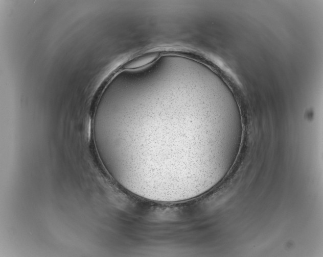 X0000089871221200707262142