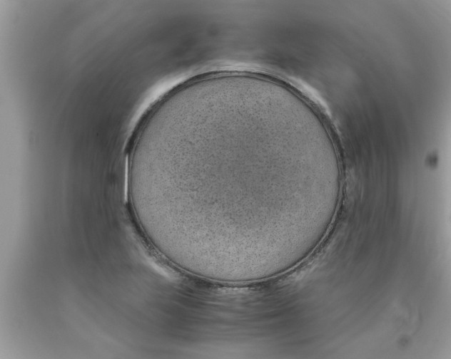 X0000089871223200707262142