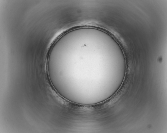 X0000089871224200707262142