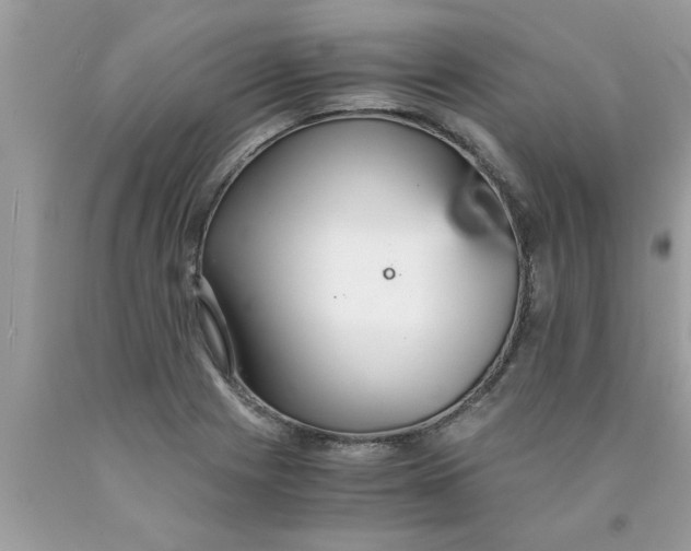 X0000089871225200707262142