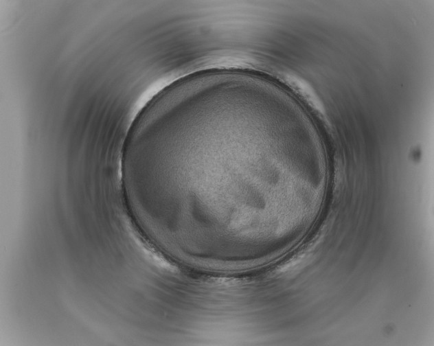 X0000089871226200707262142