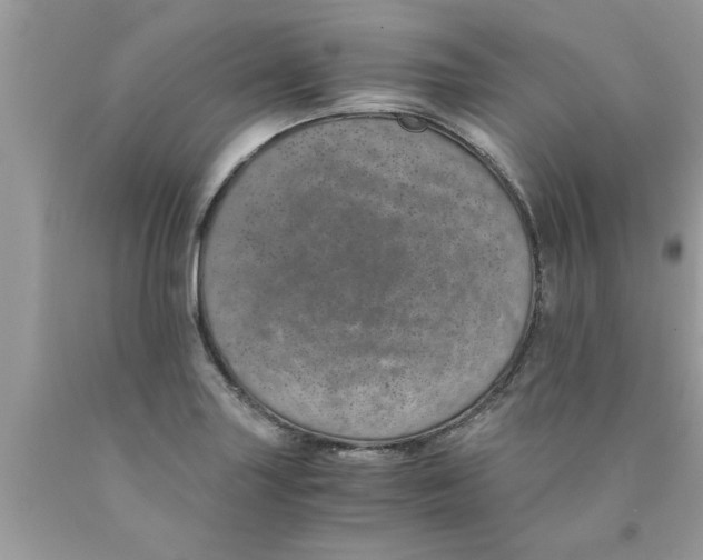 X0000089871227200707262142