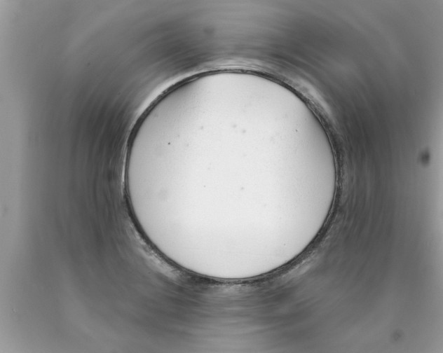 X0000089871228200707262142