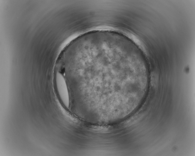 X0000089871229200707262142