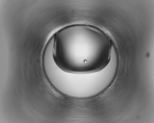 X0000089871230200707262142