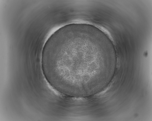 X0000089871231200707262142