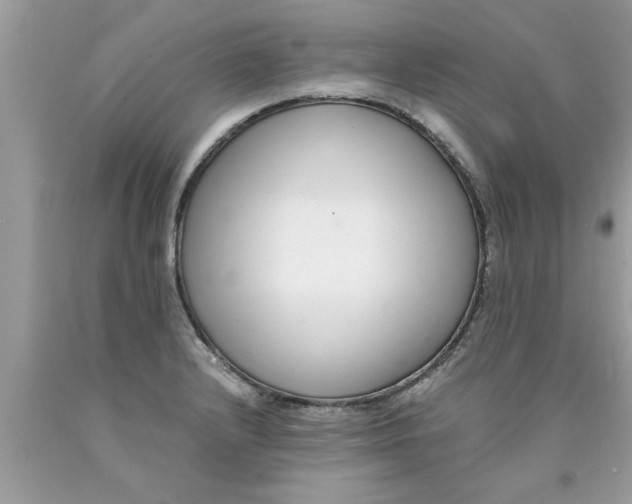 X0000089871232200707262142