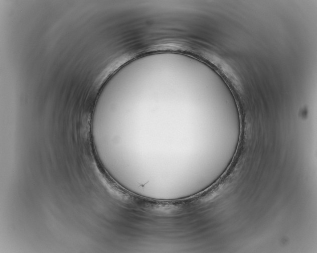 X0000089871233200707262142