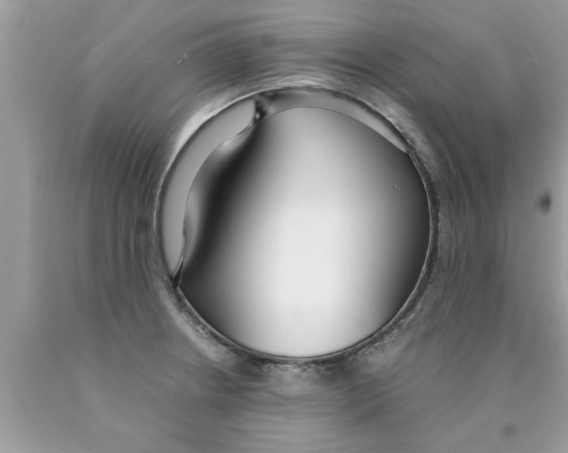 X0000089871234200707262142