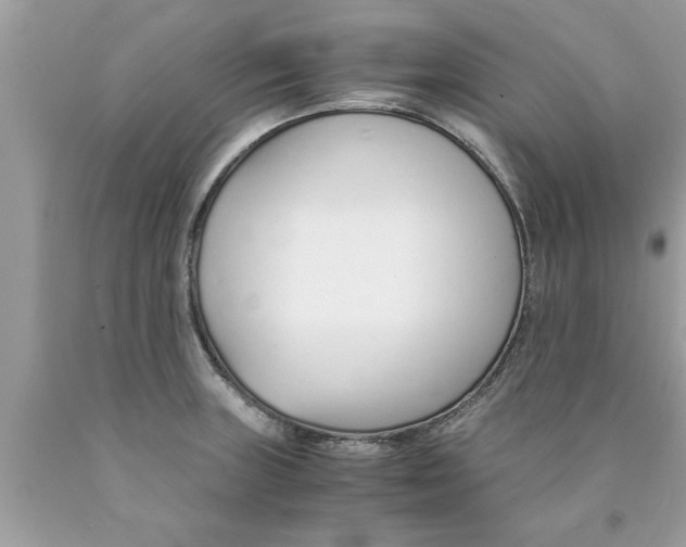 X0000089871235200707262142