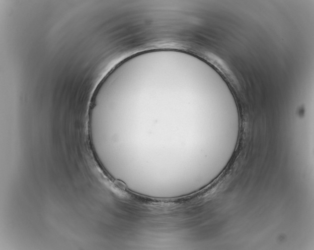 X0000089871236200707262142