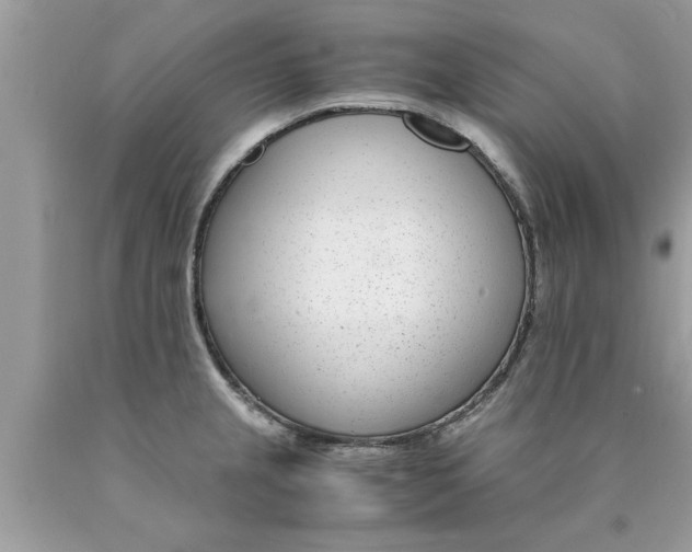 X0000089871237200707262142