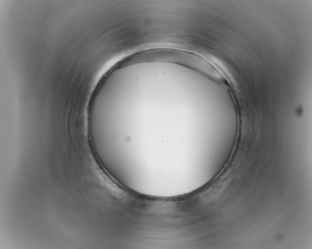 X0000089871238200707262142