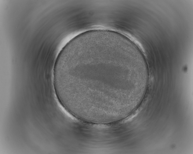 X0000089871239200707262142