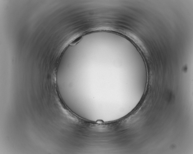 X0000089871241200707262142