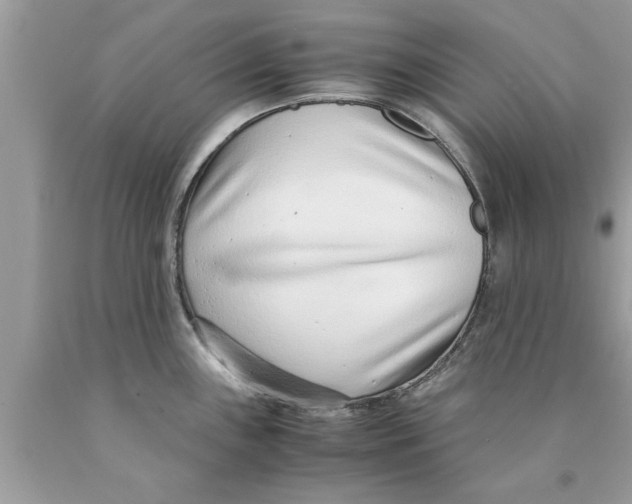 X0000089871243200707262142