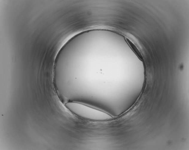 X0000089871244200707262142