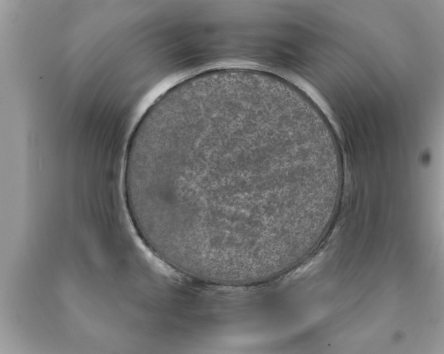 X0000089871245200707262142