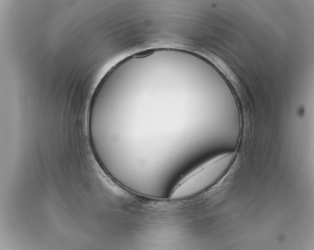 X0000089871246200707262142