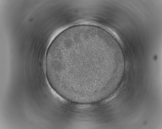 X0000089871247200707262143