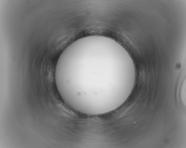 X0000089871250200707262142