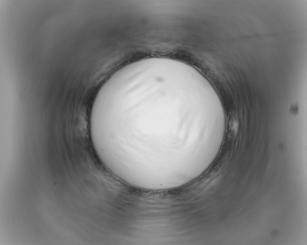 X0000089871252200707262142