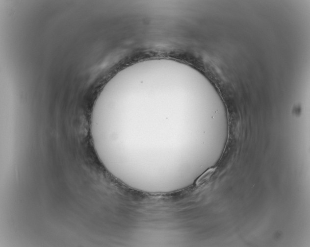 X0000089871253200707262142