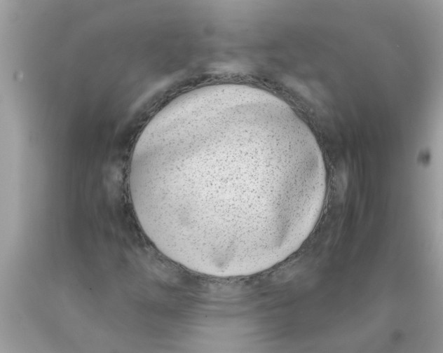 X0000089871254200707262142