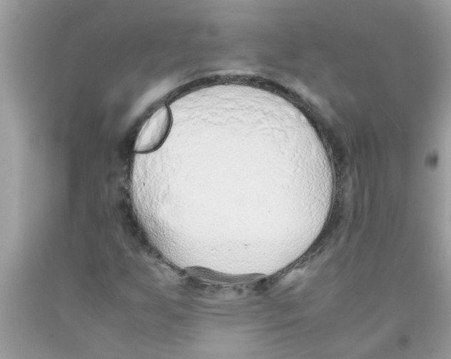 X0000089871255200707262142