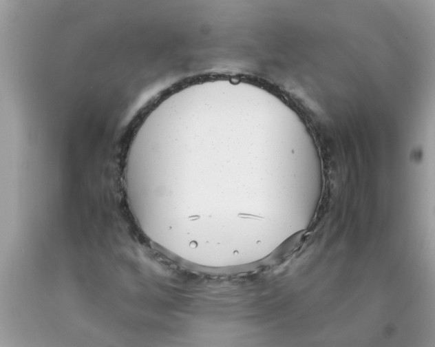 X0000089871256200707262142