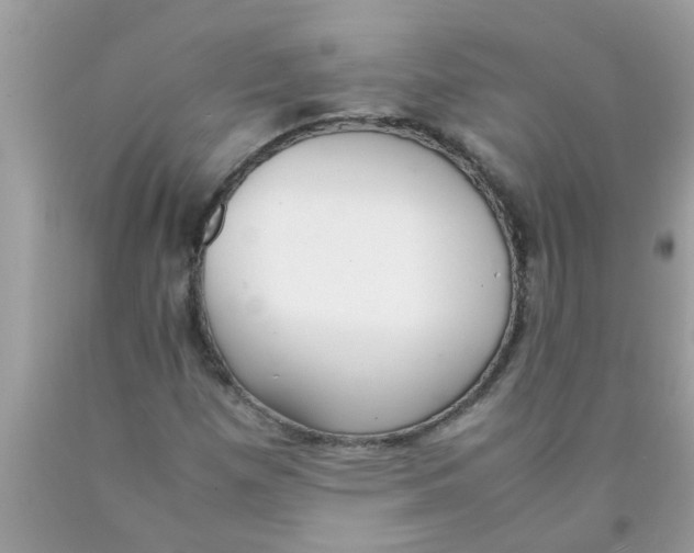 X0000089871257200707262142