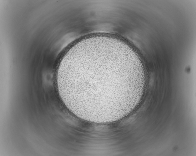 X0000089871258200707262142
