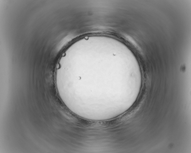 X0000089871259200707262142