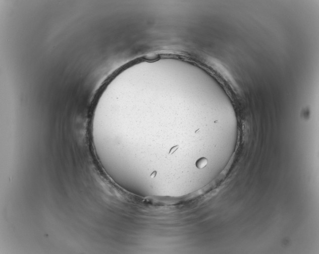 X0000089871260200707262142