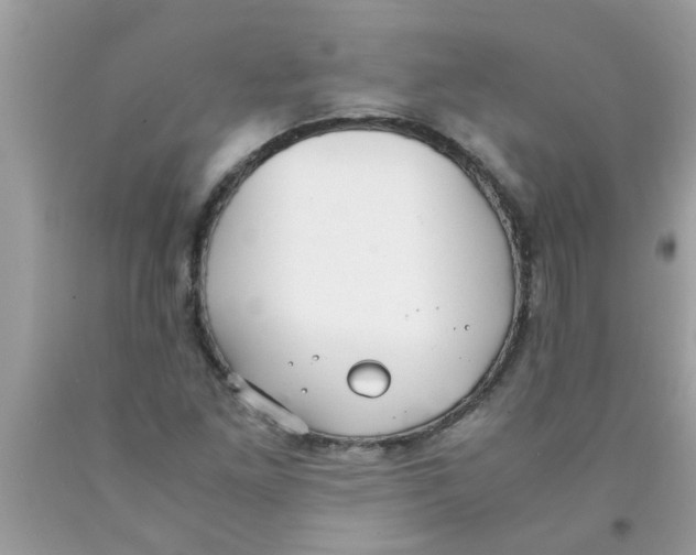 X0000089871261200707262142